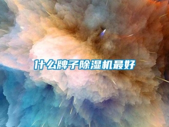 行業(yè)新聞什么牌子除濕機(jī)最好