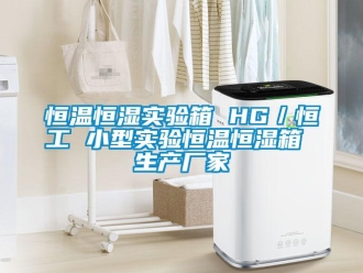 知識百科恒溫恒濕實驗箱 HG／恒工 小型實驗恒溫恒濕箱 生產(chǎn)廠家