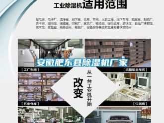 企業新聞安徽肥東縣除濕機廠家