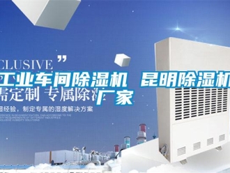 企業新聞工業車間除濕機 昆明除濕機廠家