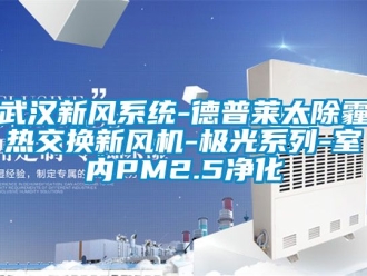 企業新聞武漢新風系統-德普萊太除霾熱交換新風機-極光系列-室內PM2.5凈化