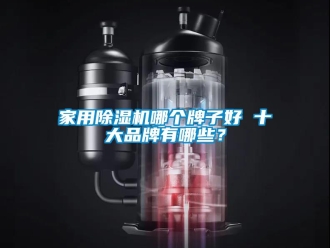 企業新聞家用除濕機哪個牌子好 十大品牌有哪些？
