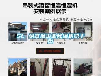 常見問題SL 耐高溫工業除濕機烘干型