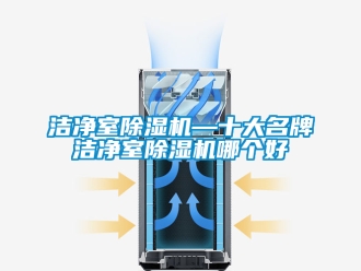 行業新聞潔凈室除濕機—十大名牌潔凈室除濕機哪個好