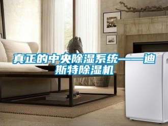 行業(yè)新聞?wù)嬲闹醒氤凉裣到y(tǒng)——迪斯特除濕機(jī)