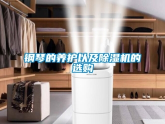 行業新聞鋼琴的養護以及除濕機的選購