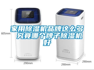 企業(yè)新聞家用除濕機(jī)品牌這么多 究竟哪個(gè)牌子除濕機(jī)好