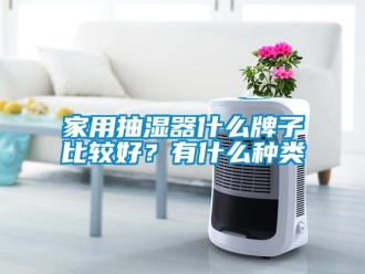 企業新聞家用抽濕器什么牌子比較好？有什么種類