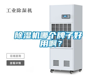 行業新聞除濕機哪個牌子好 用啊？