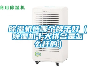 行業(yè)新聞除濕機(jī)選哪個(gè)牌子好（除濕機(jī)十大排名是怎么樣的）