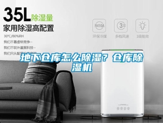 企業(yè)新聞地下倉庫怎么除濕？倉庫除濕機