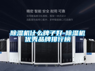 企業新聞除濕機什么牌子好-除濕機優秀品牌排行榜