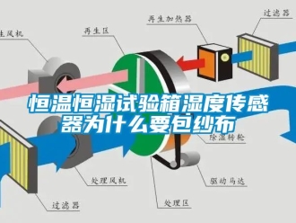 知識百科恒溫恒濕試驗箱濕度傳感器為什么要包紗布