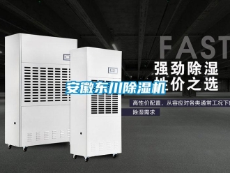 企業新聞安徽東川除濕機