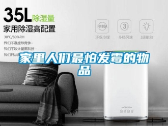 行業(yè)新聞家里人們最怕發(fā)霉的物品