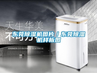 行業新聞東莞除濕機圖片／東莞除濕機樣板圖