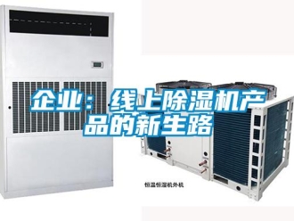行業(yè)新聞企業(yè)：線上除濕機(jī)產(chǎn)品的新生路