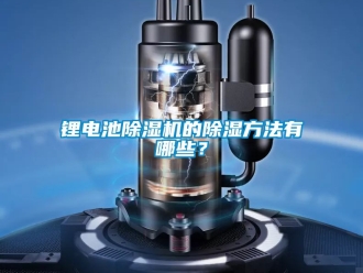 行業(yè)新聞鋰電池除濕機(jī)的除濕方法有哪些？