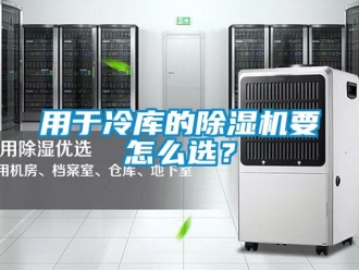 行業(yè)新聞用于冷庫的除濕機要怎么選？