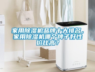 企業新聞家用除濕機品牌十大排名，家用除濕機哪個牌子好性價比高？