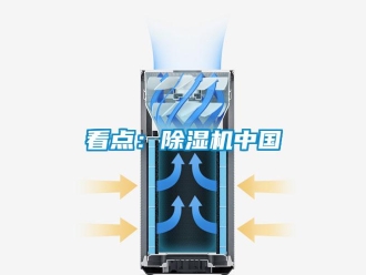行業新聞看點：除濕機中國