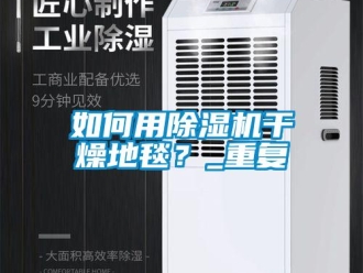 行業(yè)新聞如何用除濕機干燥地毯？_重復