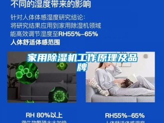 企業(yè)新聞家用除濕機(jī)工作原理及品牌