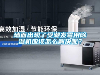 行業新聞墻面出現了受潮發霉用除濕機應該怎么解決呢？