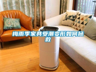 常見問題梅雨季家具受潮變形如何拯救