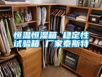 知識百科恒溫恒濕箱 穩(wěn)定性試驗(yàn)箱 廠家泰斯特