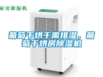 行業(yè)新聞葡萄干烘干需排濕，葡萄干烘房除濕機(jī)