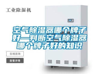 行業(yè)新聞空氣除濕器哪個(gè)牌子好—判斷空氣除濕器哪個(gè)牌子好的知識(shí)