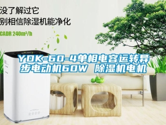 企業新聞YDK-60-4單相電容運轉異步電動機60W 除濕機電機