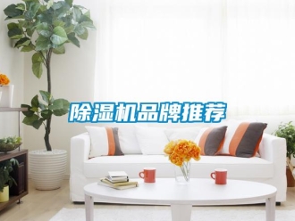 常見問題除濕機品牌推薦