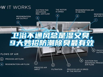 常見(jiàn)問(wèn)題衛(wèi)浴不通風(fēng)總是濕又臭，9大妙招防潮除臭最有效