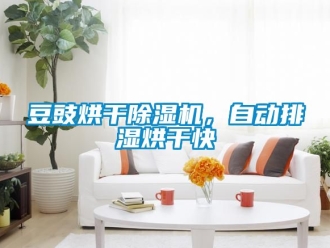 行業新聞豆豉烘干除濕機，自動排濕烘干快