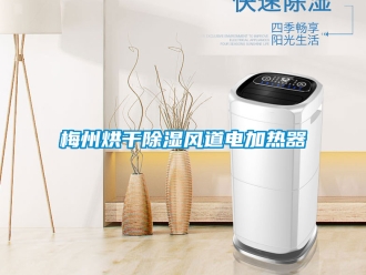 行業新聞梅州烘干除濕風道電加熱器