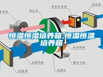 知識百科恒溫恒濕培養(yǎng)箱,恒溫恒溫培養(yǎng)箱