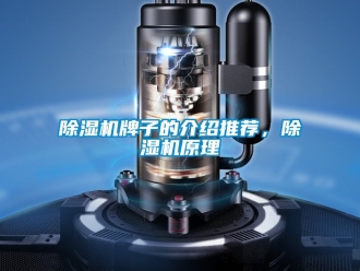 行業新聞除濕機牌子的介紹推薦，除濕機原理