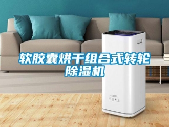 行業新聞軟膠囊烘干組合式轉輪除濕機