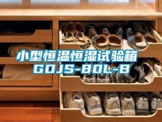 知識百科小型恒溫恒濕試驗箱 GDJS-80L-B