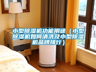 企業(yè)新聞小型除濕機(jī)功能用途（小型除濕機(jī)如何清洗及小型除濕機(jī)品牌排行）
