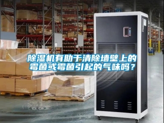 行業新聞除濕機有助于清除墻壁上的霉菌或霉菌引起的氣味嗎？