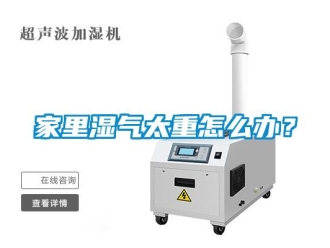 常見問題家里濕氣太重怎么辦？