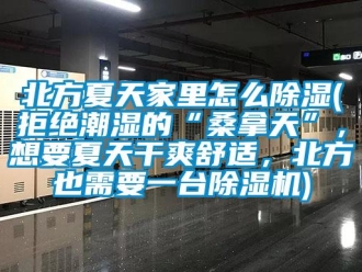 企業(yè)新聞北方夏天家里怎么除濕(拒絕潮濕的“桑拿天”，想要夏天干爽舒適，北方也需要一臺除濕機)