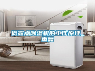 行業(yè)新聞低露點除濕機的工作原理_重復