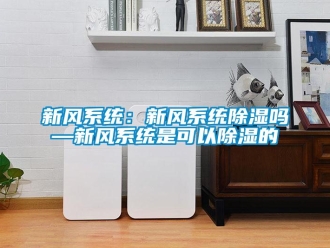 行業(yè)新聞新風(fēng)系統(tǒng)：新風(fēng)系統(tǒng)除濕嗎—新風(fēng)系統(tǒng)是可以除濕的