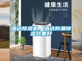 行業新聞酒店除濕機，酒店防潮除濕效果好