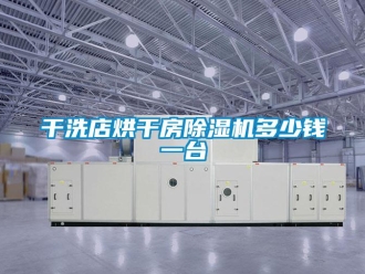 行業新聞干洗店烘干房除濕機多少錢一臺