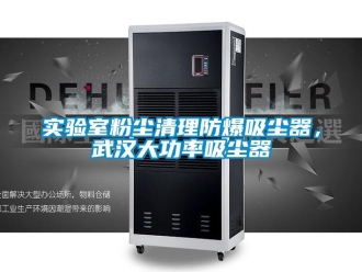 企業(yè)新聞實(shí)驗(yàn)室粉塵清理防爆吸塵器，武漢大功率吸塵器